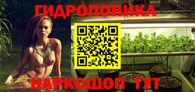 гидра Краснокаменск