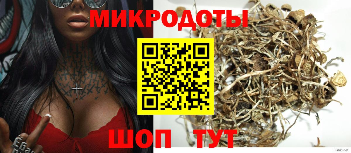 Псилоцибиновые грибы ЛСД Качканар