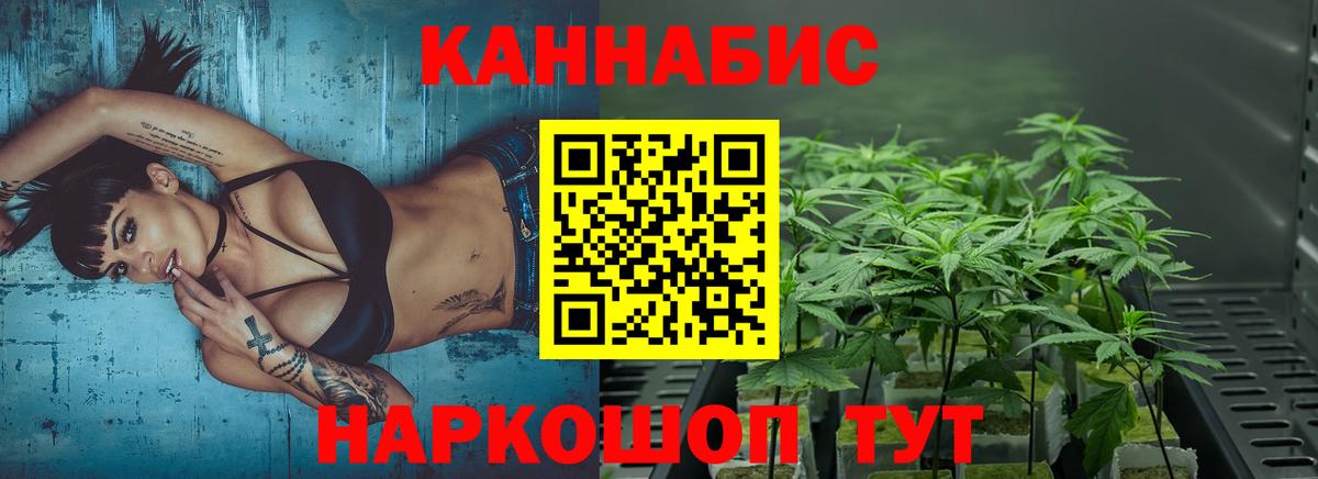 Шишки марихуана сатива Качканар